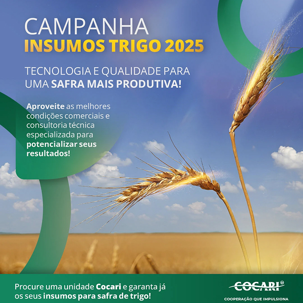 Estratégia de conteúdo para blog de saúde